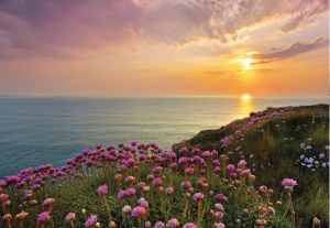 Painel Fotográfico Praia a vista de Rosas 8-901