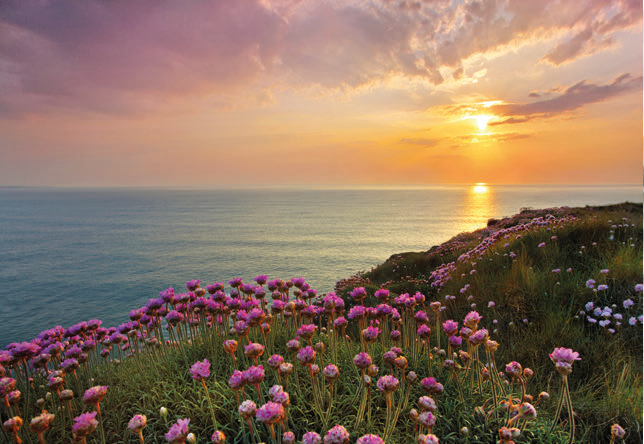 Painel Fotográfico Praia a vista de Rosas 8-901