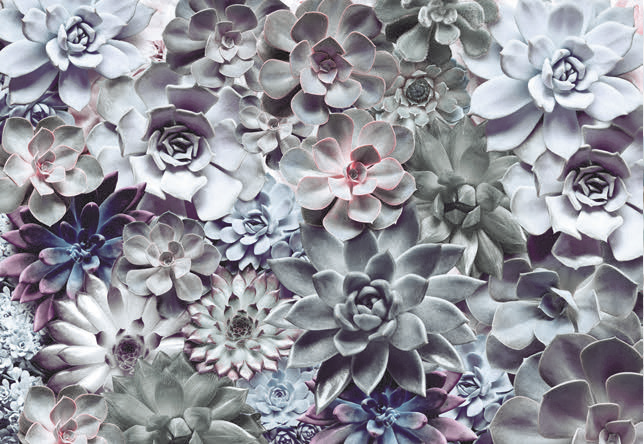 Painel Fotográfico floral 3D 8-962