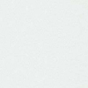 Papel de Parede Branco 3333-1