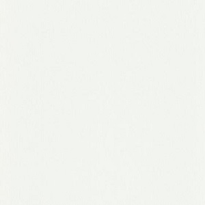 Papel de Parede liso branco 6381-01