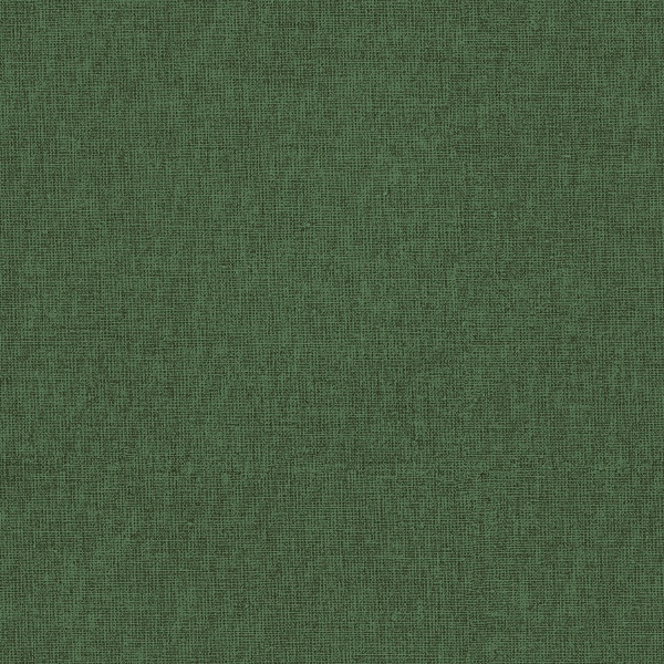 Papel Parede Liso Verde - Ref: 4155