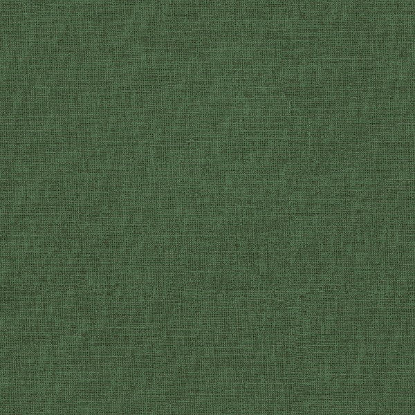 Papel Parede Liso Verde - Ref: 4155