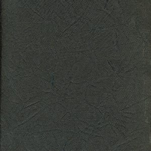 Papel de Parede 6400-6